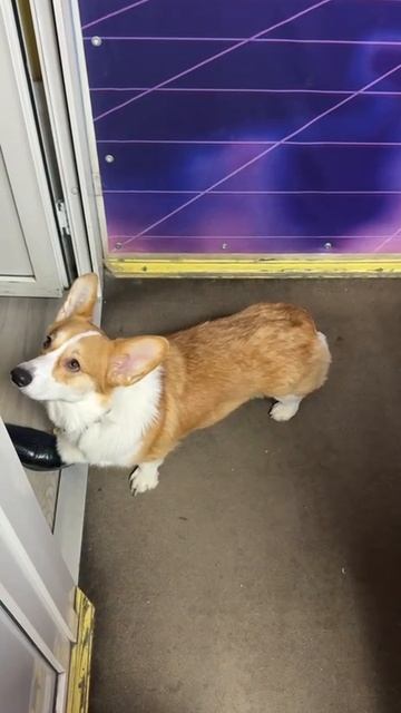 Живые игры 23.12.2025